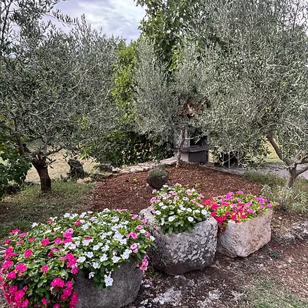 Apartmán New Ema Ii *